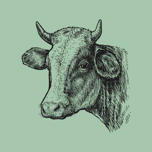 La Salamandre - Restaurant Versailles - top restaurant VERSAILLES